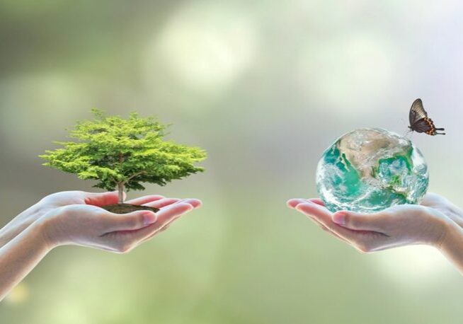 Two hands holding a tree and globe in one hand.